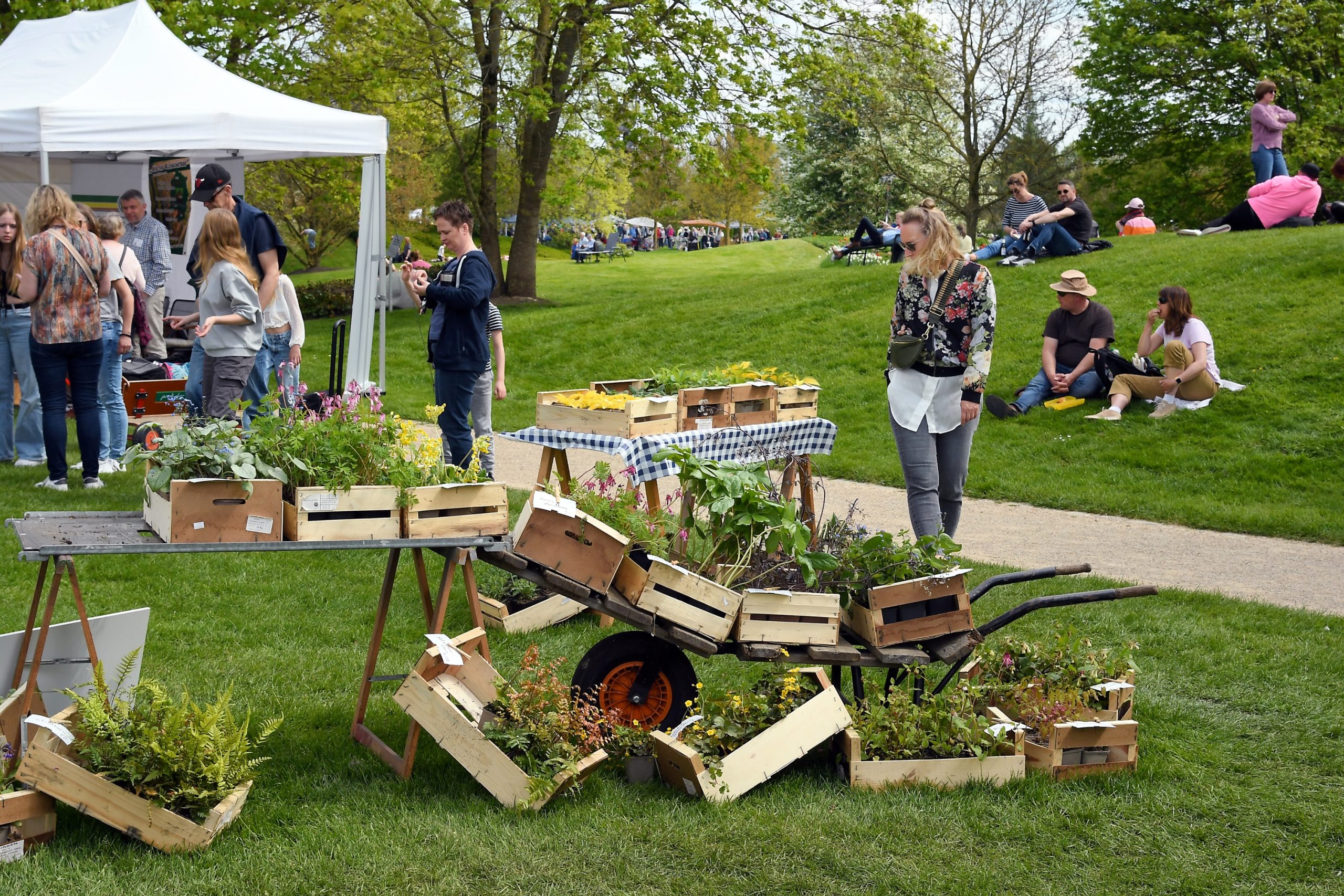 www.oldenburgische-landschaft.de pflanzenwelten-im-park-pflanzenmarkt-gartenflohmarkt pflanzenwelten-im-park-pflanzenmarkt-gartenflohmarkt
